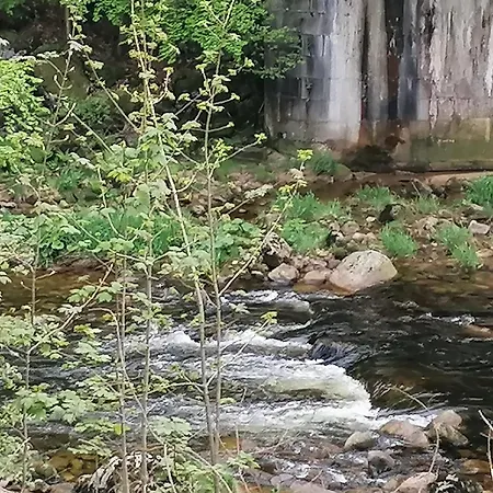 Hotylek Na Myte Gæstehus Harrachov
